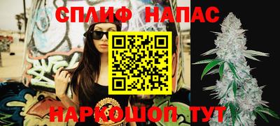 гашик Нарткала