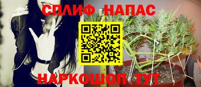 jwh Нальчик