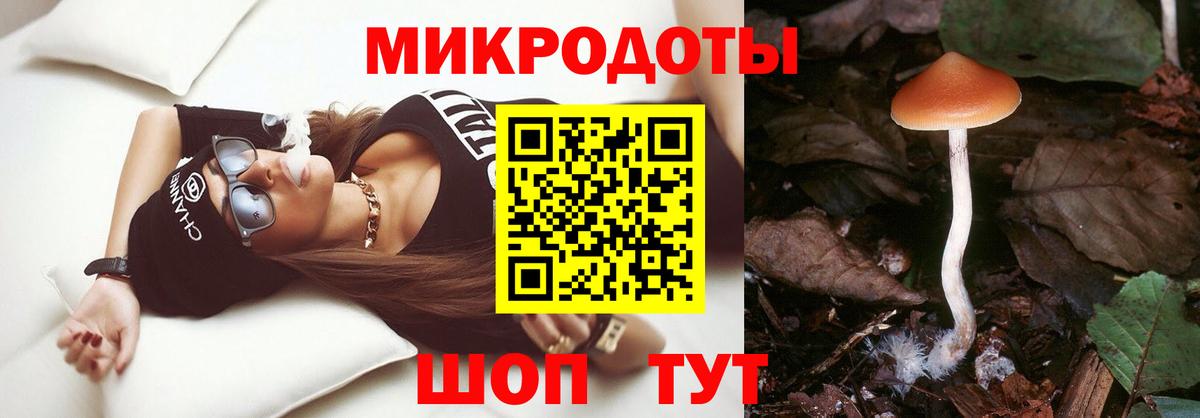 Псилоцибиновые грибы прущие грибы  Галлюциногенные грибы мухоморы  Дятьково  купить  цена  Вход с VPN 